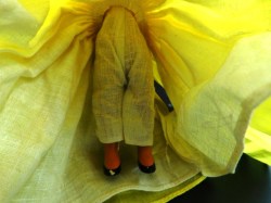 nancy ann 29 yellow legs